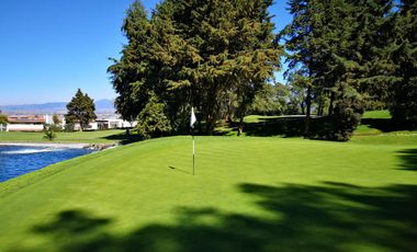 Acción del Club de Golf los Encinos