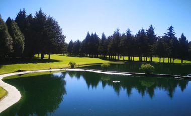 Acción del Club de Golf los Encinos
