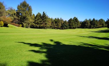 Acción del Club de Golf los Encinos