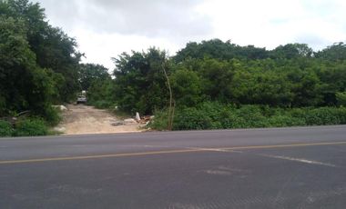 RENTA TERRENO COMERCIAL CANCÚN SUP. 300 MTS