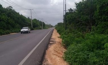 RENTA TERRENO COMERCIAL CANCÚN SUP. 300 MTS
