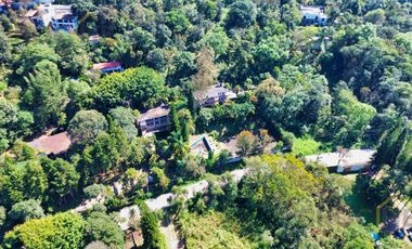 Local en renta en plaza Buena Vista campestre zona Briones Coatepec  Ver.