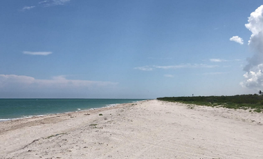 TERRENO FRENTE AL MAR A LA VENTA EN CELESTUN