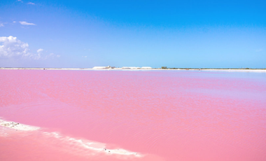 TERRENO FRENTE AL MAR A LA VENTA EN CELESTUN