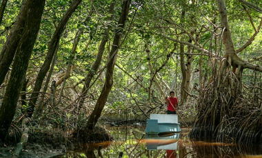 TERRENO FRENTE AL MAR A LA VENTA EN CELESTUN