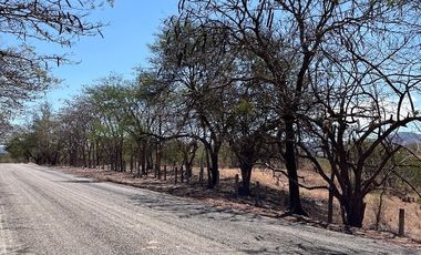 TERRENO DE 6.7 HECTÁREAS A ORILLA DE CARRETERA EN SUCHIAPA