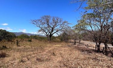 TERRENO DE 6.7 HECTÁREAS A ORILLA DE CARRETERA EN SUCHIAPA