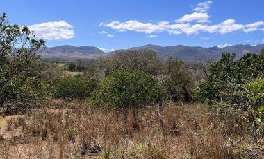 TERRENO DE 6.7 HECTÁREAS A ORILLA DE CARRETERA EN SUCHIAPA