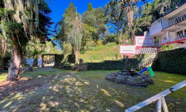 Local en renta en plaza Buena Vista campestre zona Briones Coatepec  Ver.