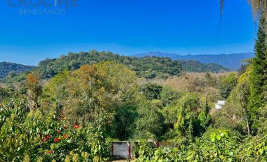 Local en renta en plaza Buena Vista campestre zona Briones Coatepec  Ver.