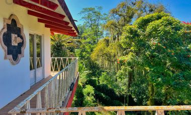 Local en renta en plaza Buena Vista campestre zona Briones Coatepec  Ver.