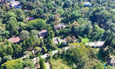Local en renta en plaza Buena Vista campestre zona Briones Coatepec  Ver.