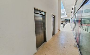 Local Comercial · Renta · Avenida 135 · Polígono Sur · Master Plaza
