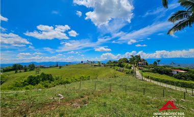 Lote multipropósito en Altagracia, Pereira