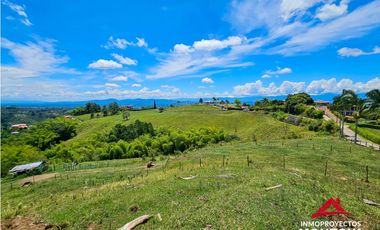 Lote multipropósito en Altagracia, Pereira