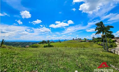 Lote multipropósito en Altagracia, Pereira