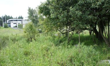 Terreno para lotes residenciales- Ocoyoacac Estado de México