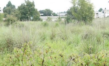 Terreno para lotes residenciales- Ocoyoacac Estado de México