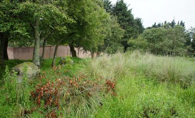 Terreno para lotes residenciales- Ocoyoacac Estado de México