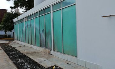 Terreno en Renta en Avenida Solidaridad Col Electricistas