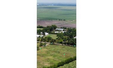 Lote venta Rozo