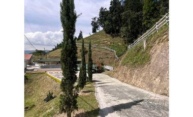 SE VENDE FINCA EN CALDAS ANTIOQUIA