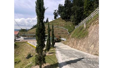 SE VENDE FINCA EN CALDAS ANTIOQUIA