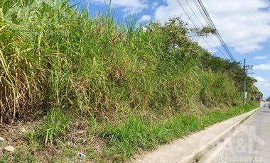 Terreno en Renta o Venta en Bugambilias Uso de Suelo Mixto