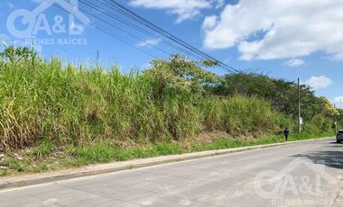 Terreno en Renta o Venta en Bugambilias Uso de Suelo Mixto