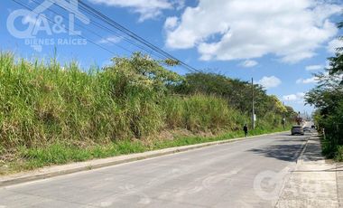 Terreno en Renta o Venta en Bugambilias Uso de Suelo Mixto