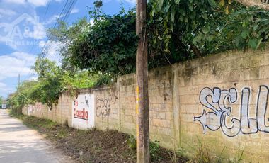 Terreno en Renta o Venta en Bugambilias Uso de Suelo Mixto
