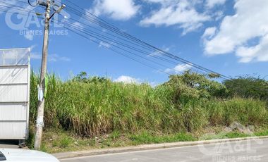 Terreno en Renta o Venta en Bugambilias Uso de Suelo Mixto