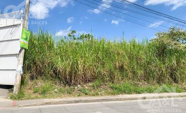Terreno en Renta o Venta en Bugambilias Uso de Suelo Mixto