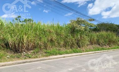 Terreno en Renta o Venta en Bugambilias Uso de Suelo Mixto