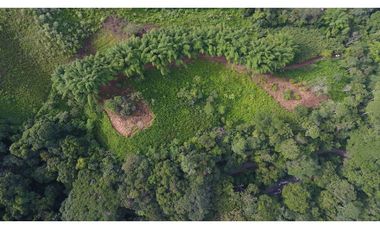 Venta Finca Sierra Nevada en Minca - Santa Marta