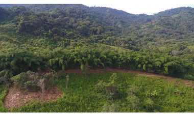 Venta Finca Sierra Nevada en Minca - Santa Marta