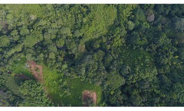 Venta Finca Sierra Nevada en Minca - Santa Marta