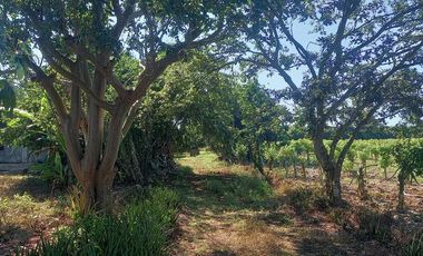 Venta Rancho a Orilla de Carretera en Dzilam Gonzalez Yucatan