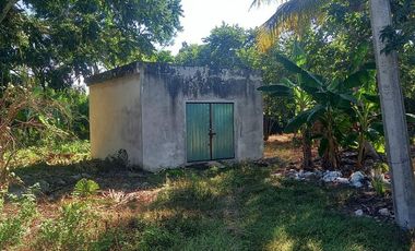Venta Rancho a Orilla de Carretera en Dzilam Gonzalez Yucatan