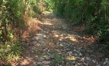 Venta Rancho a Orilla de Carretera en Dzilam Gonzalez Yucatan
