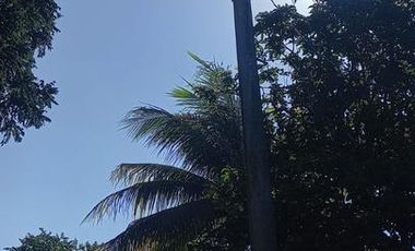 Venta Rancho a Orilla de Carretera en Dzilam Gonzalez Yucatan