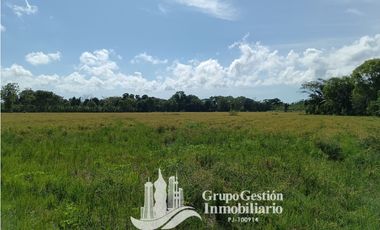 VENDO 19.7 Hectareas  en Berba, cerca de Puerto Armuelles
