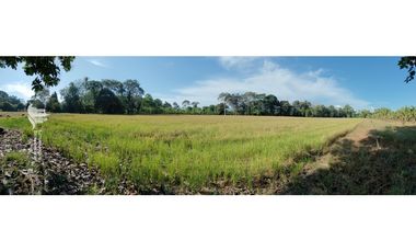 VENDO 19.7 Hectareas  en Berba, cerca de Puerto Armuelles