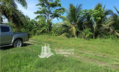 VENDO 19.7 Hectareas  en Berba, cerca de Puerto Armuelles