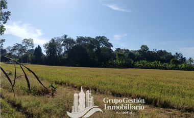 VENDO 19.7 Hectareas  en Berba, cerca de Puerto Armuelles