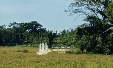 VENDO 19.7 Hectareas  en Berba, cerca de Puerto Armuelles