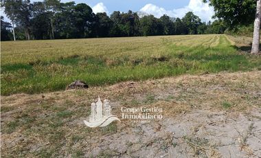 VENDO 19.7 Hectareas  en Berba, cerca de Puerto Armuelles