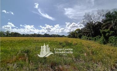 VENDO 19.7 Hectareas  en Berba, cerca de Puerto Armuelles