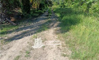 VENDO 19.7 Hectareas  en Berba, cerca de Puerto Armuelles