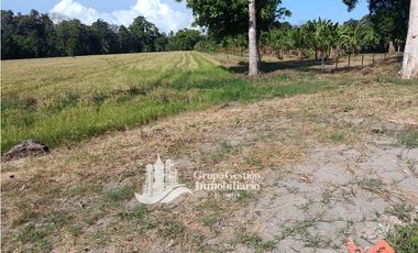 VENDO 19.7 Hectareas  en Berba, cerca de Puerto Armuelles